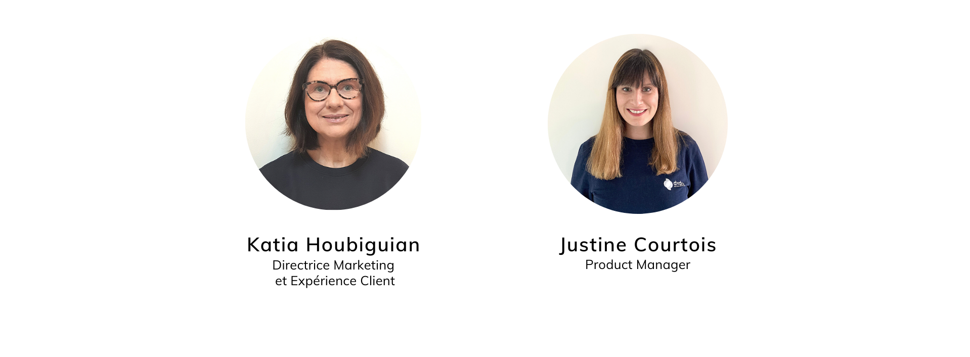 Promo webinars dydu (2)